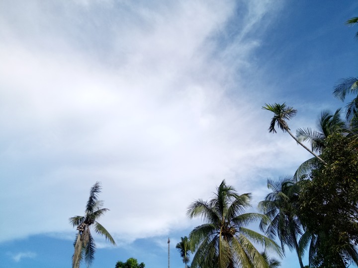 clear sky.