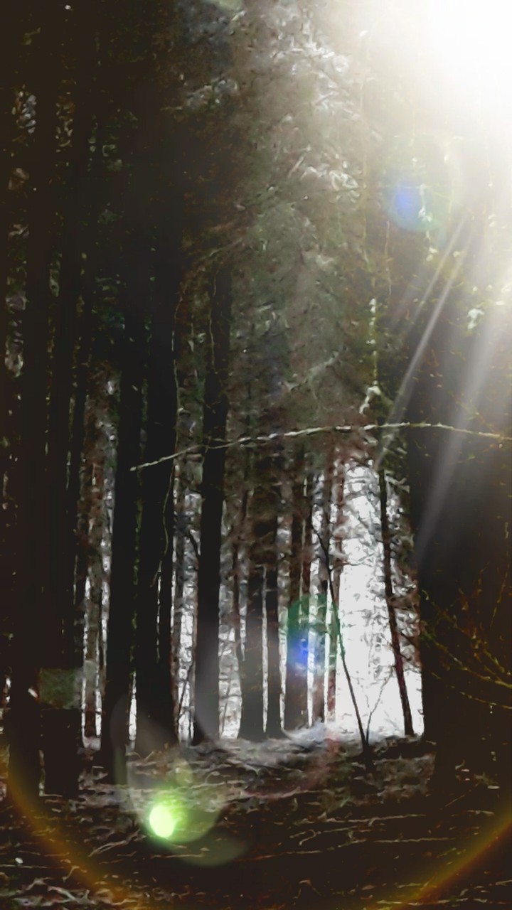 Rays of light