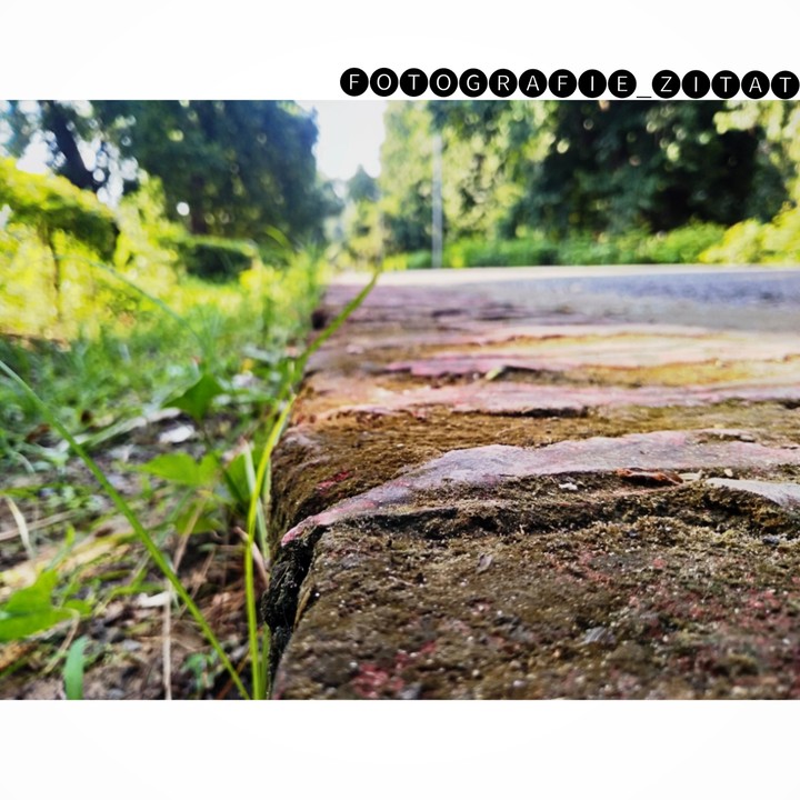 roadside