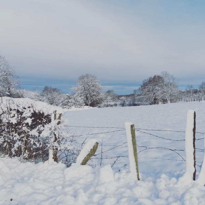 snow