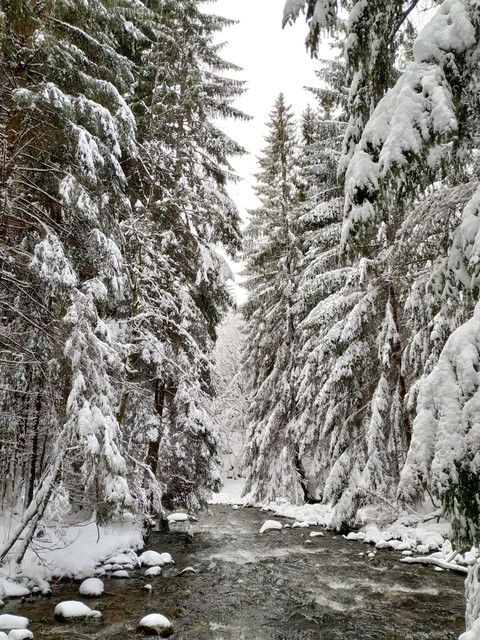 winter fairytale