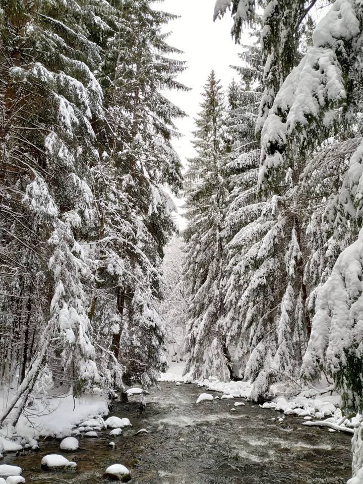 winter fairytale
