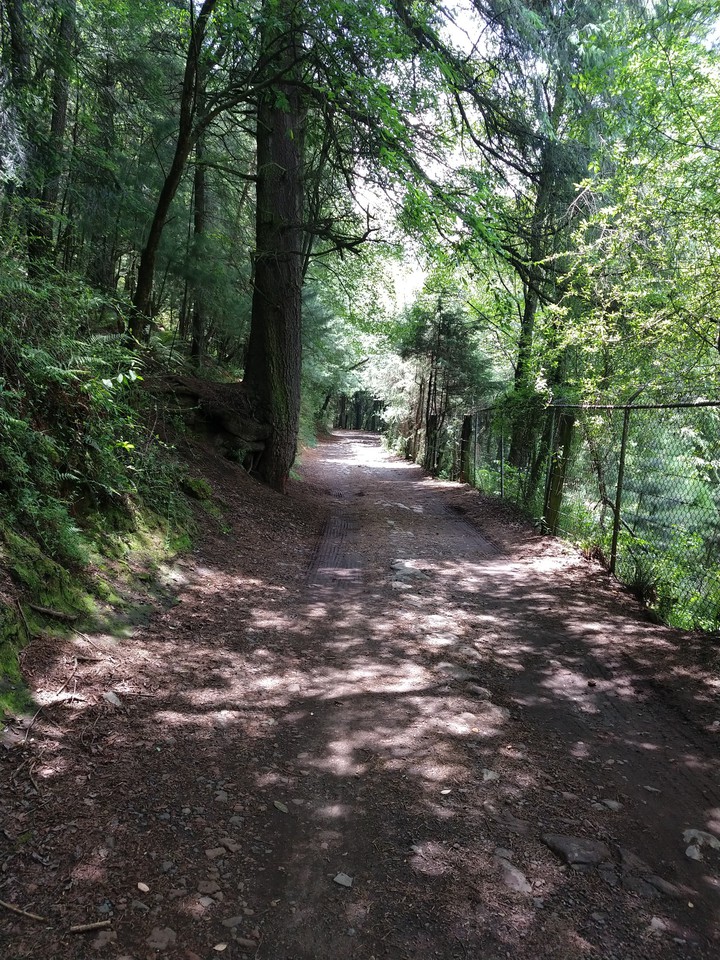 Parque San Nicolás