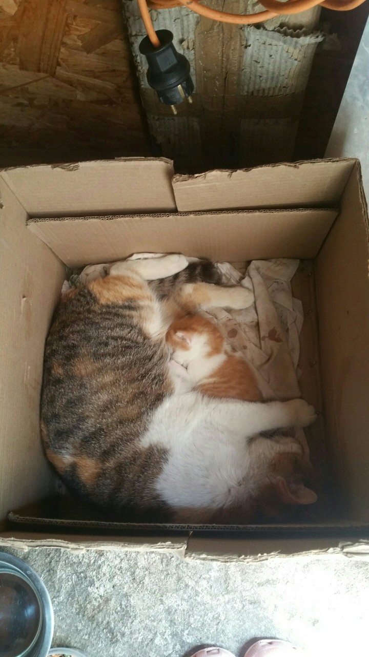 Cute2!!!!