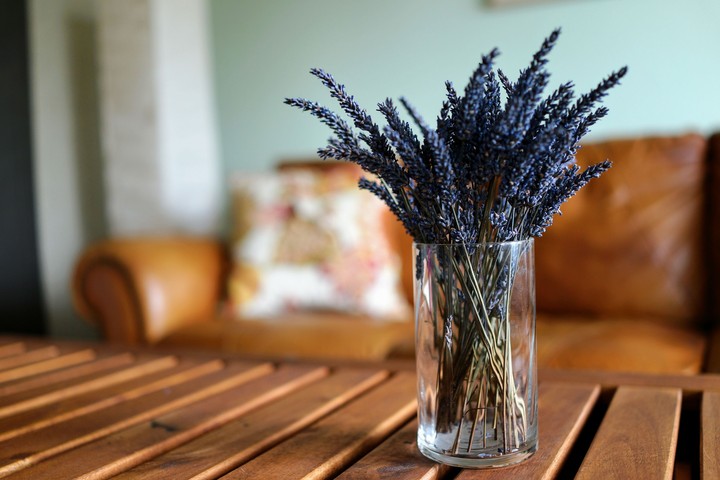 lavender time