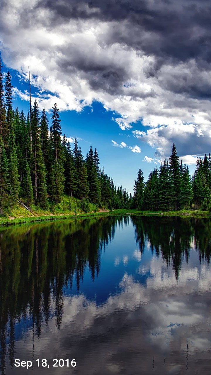 beautiful environment