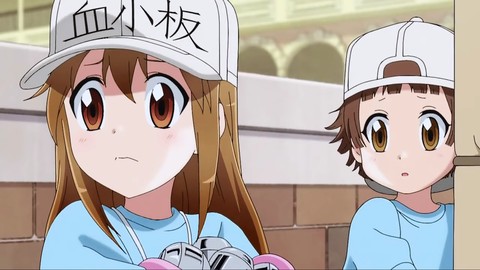 Cells at work !
