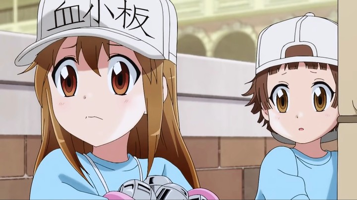 Cells at work !