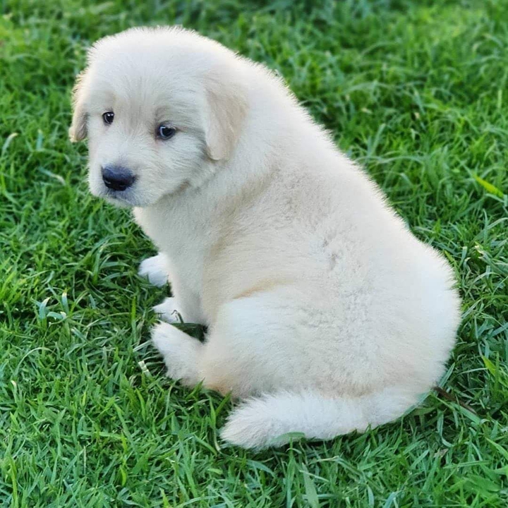 ❤️ ❤️