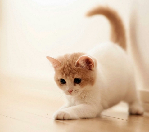 Caty :*