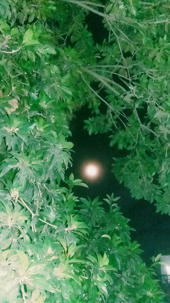 Moon