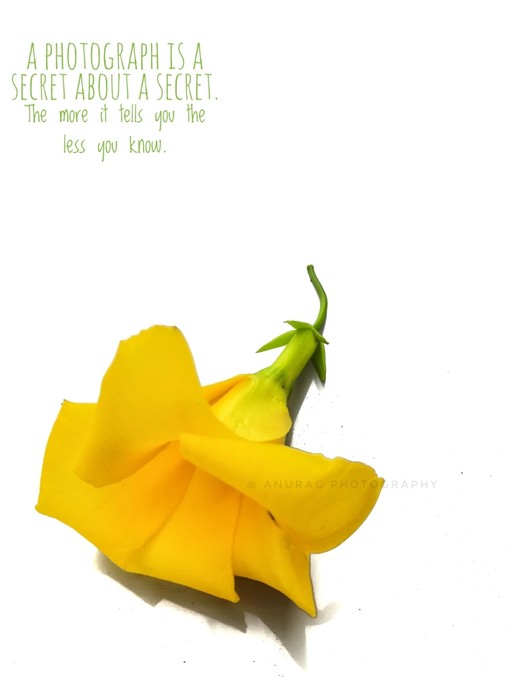 Wallpaper photography