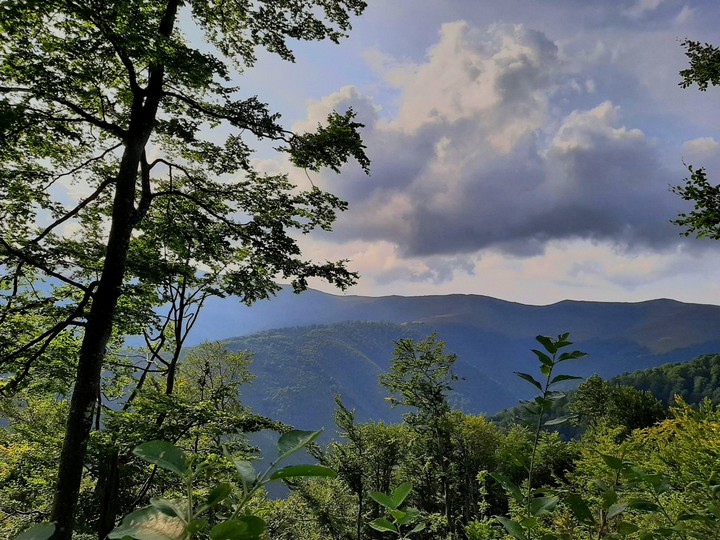 Mountains