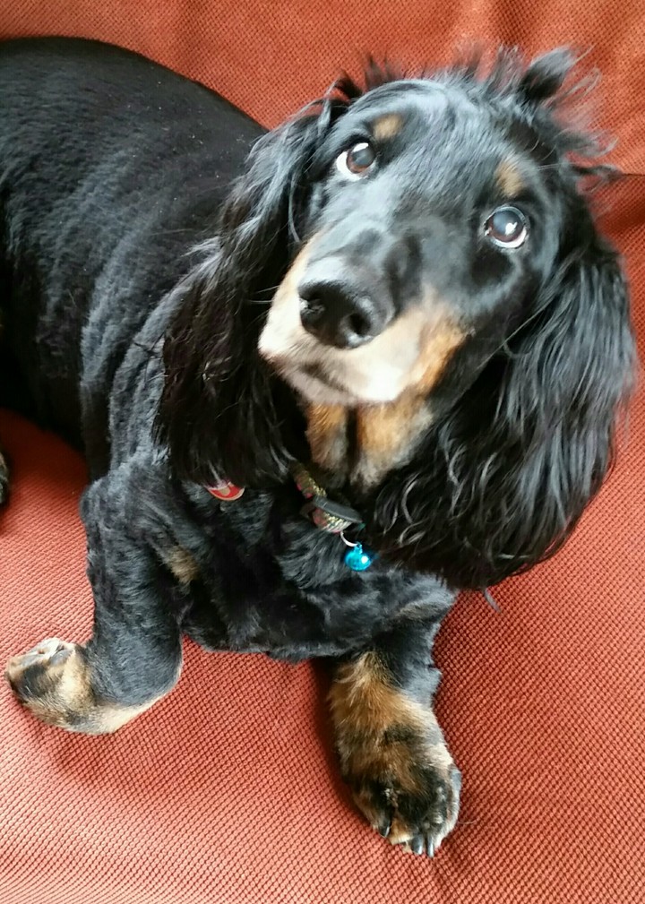 Bas♡26 juni 2003♡