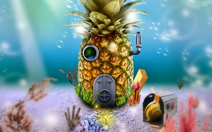 House From Bob Sponja