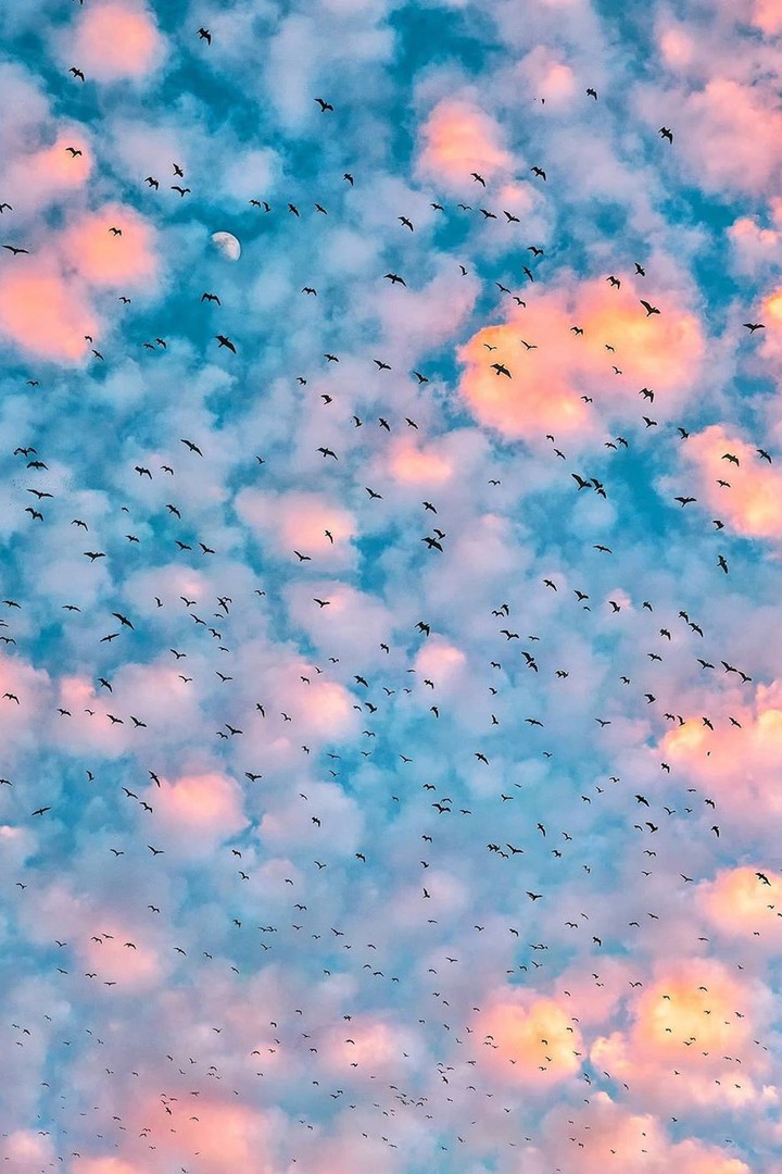sky