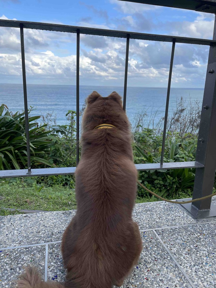 熊熊