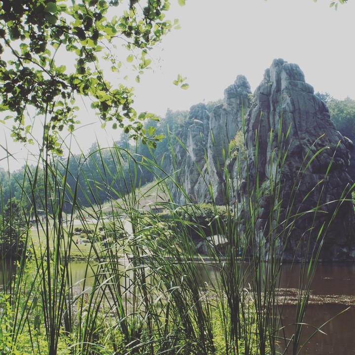 nature