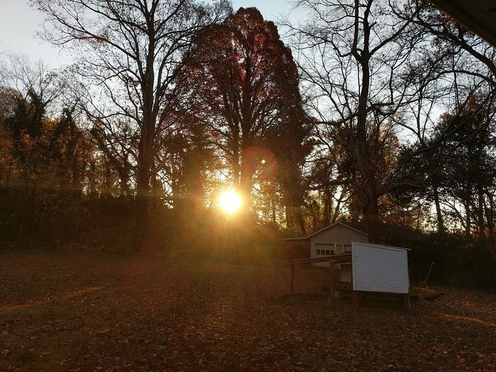 Backyard Sunrise