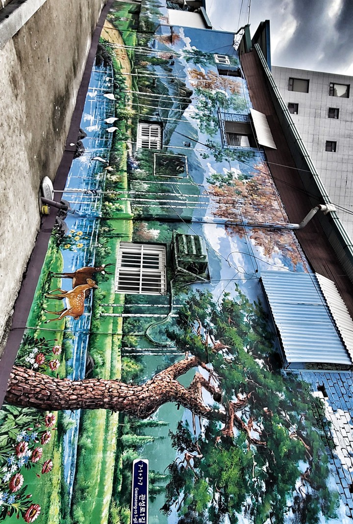 풍경