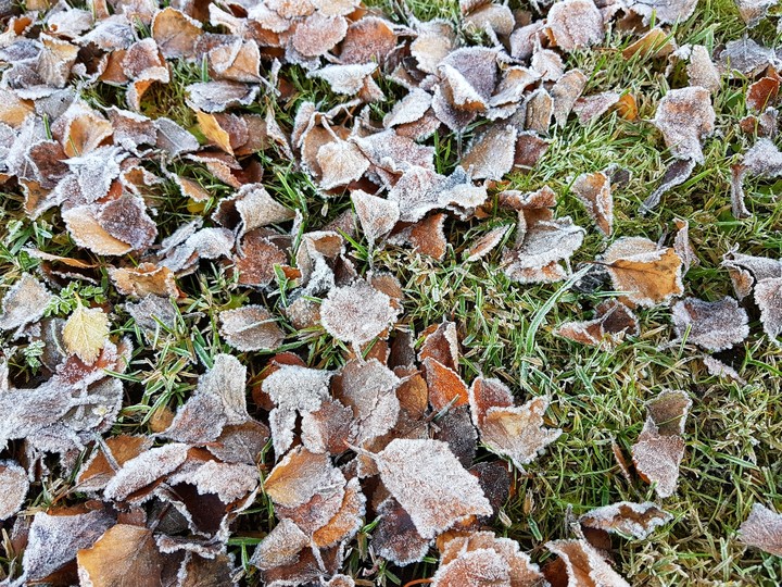 ice