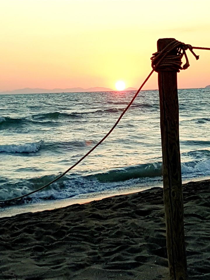 mare