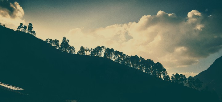 TRAILS OF TREES OVER THE CURVY HILL
