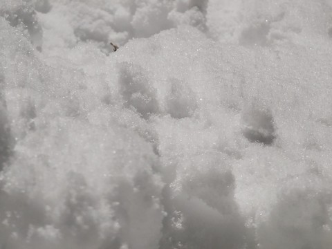 Ноябрьский снег