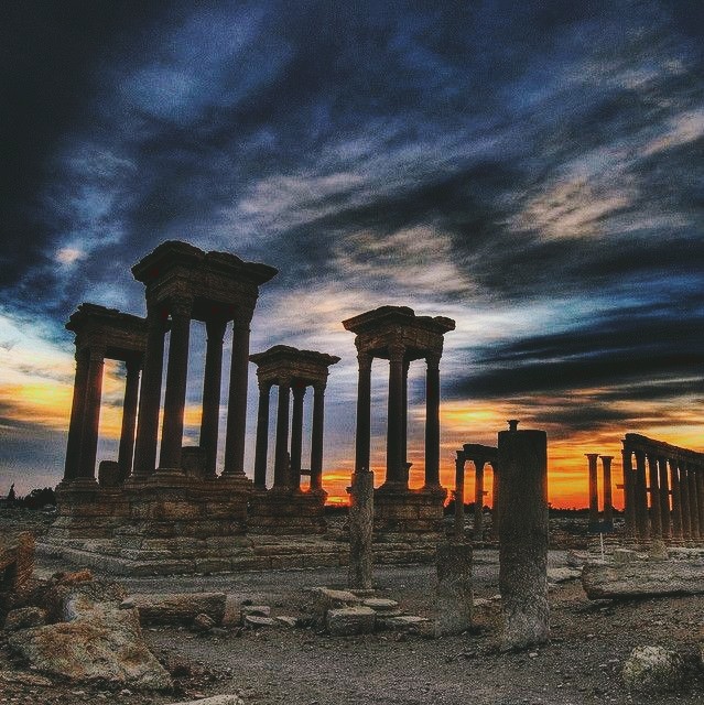 Palmyra