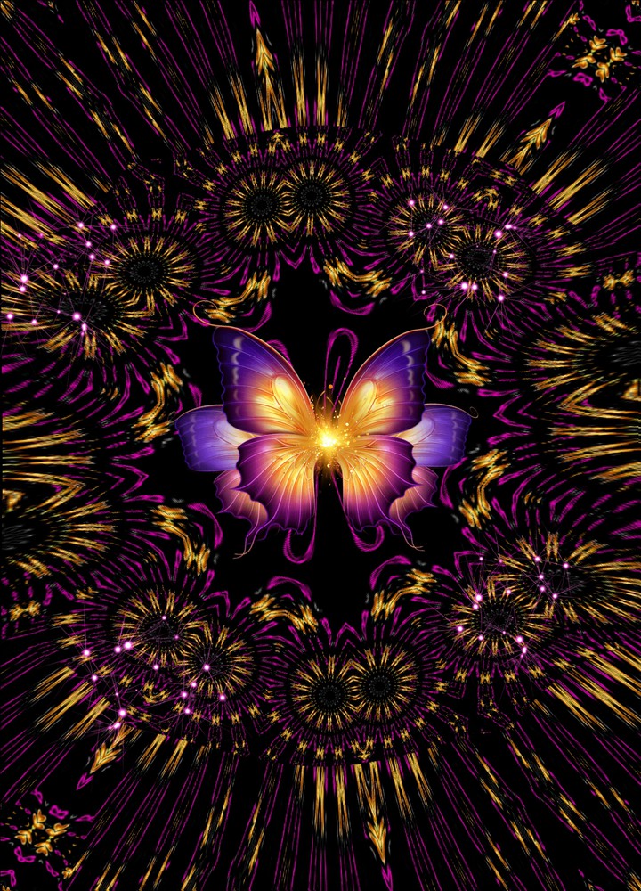 Butterfly