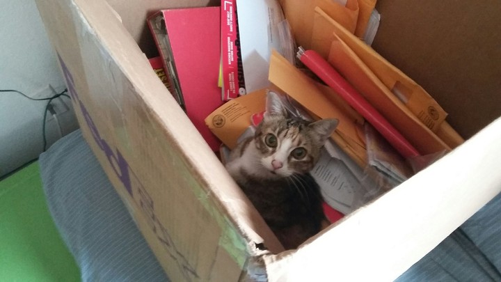 peekaboo