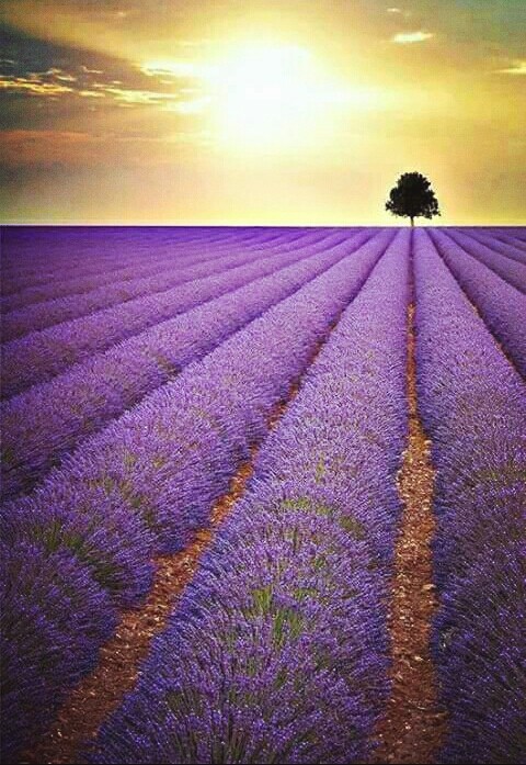 Beauty of nature