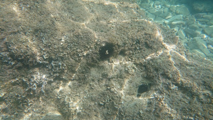 Under Water