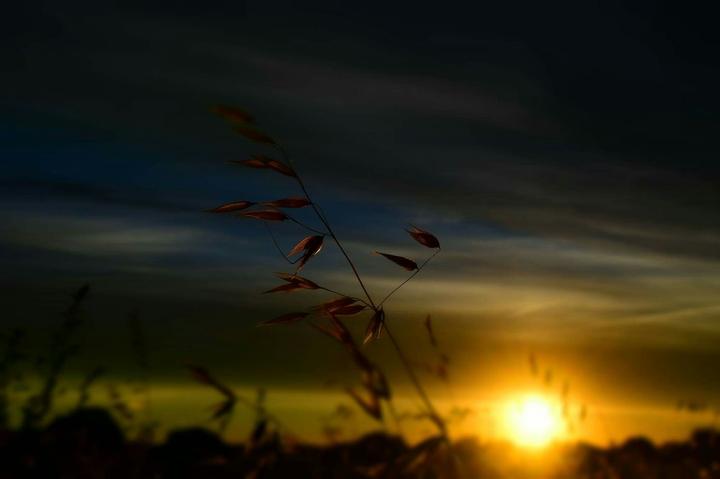 evening