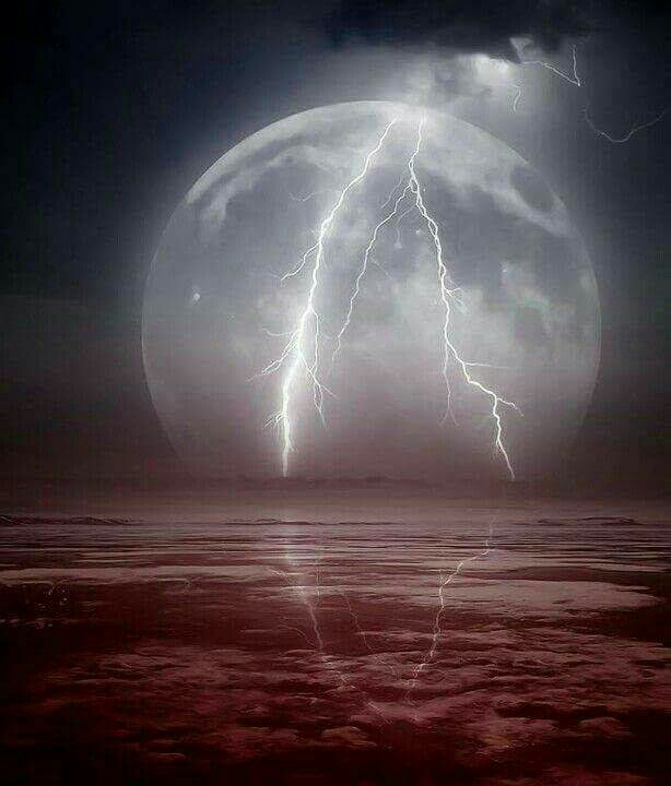 ⚪✅⚪✅⚪✅⚪✅⚪✅