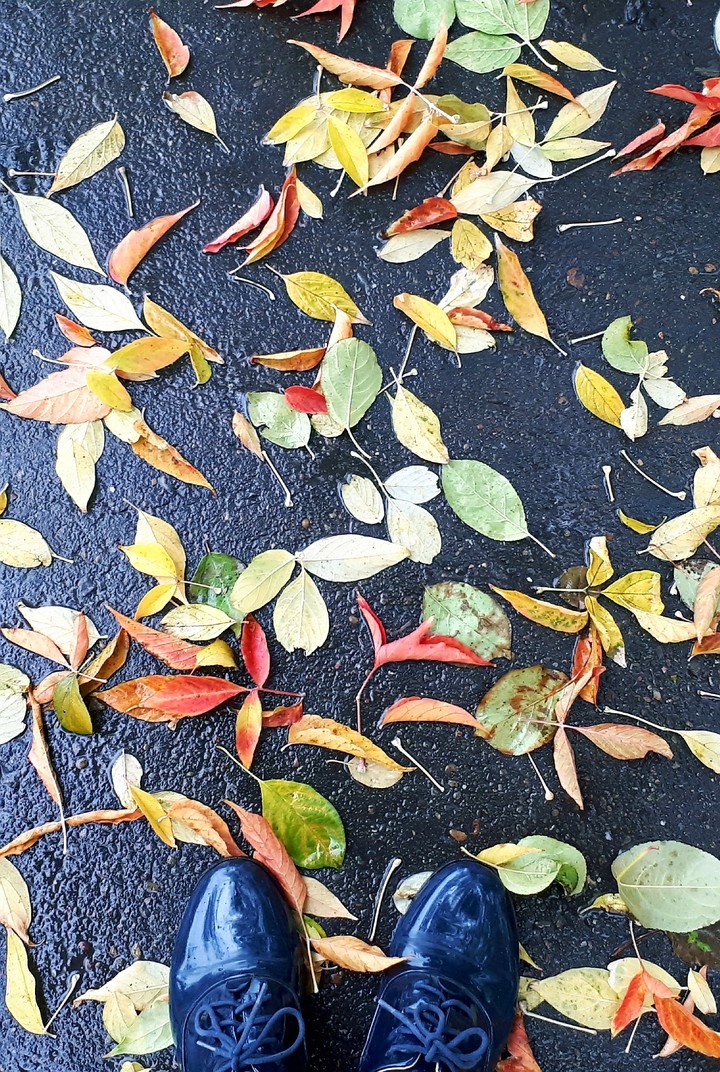 autumn