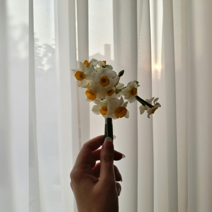 heartsome afternoon