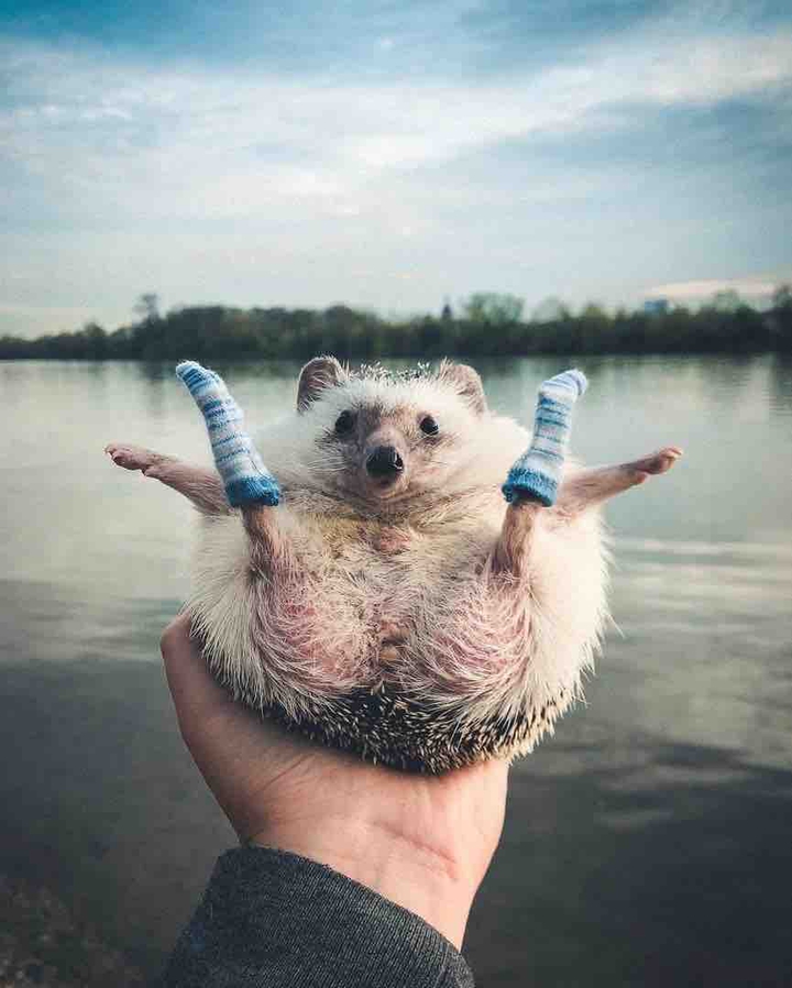 eee
