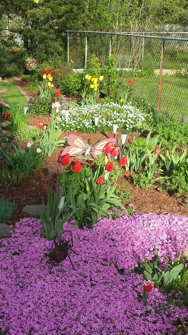 spring flowers