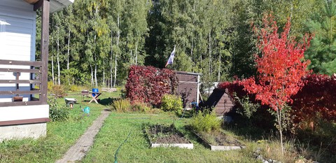 sfondi landscape, groundcover