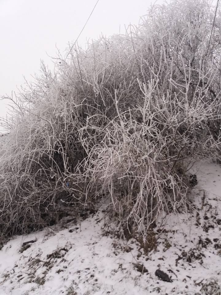 ❄