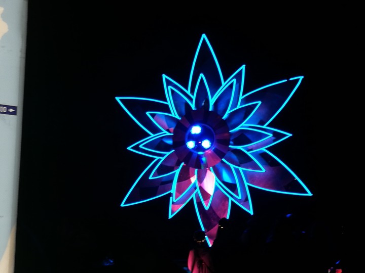 Blue flower