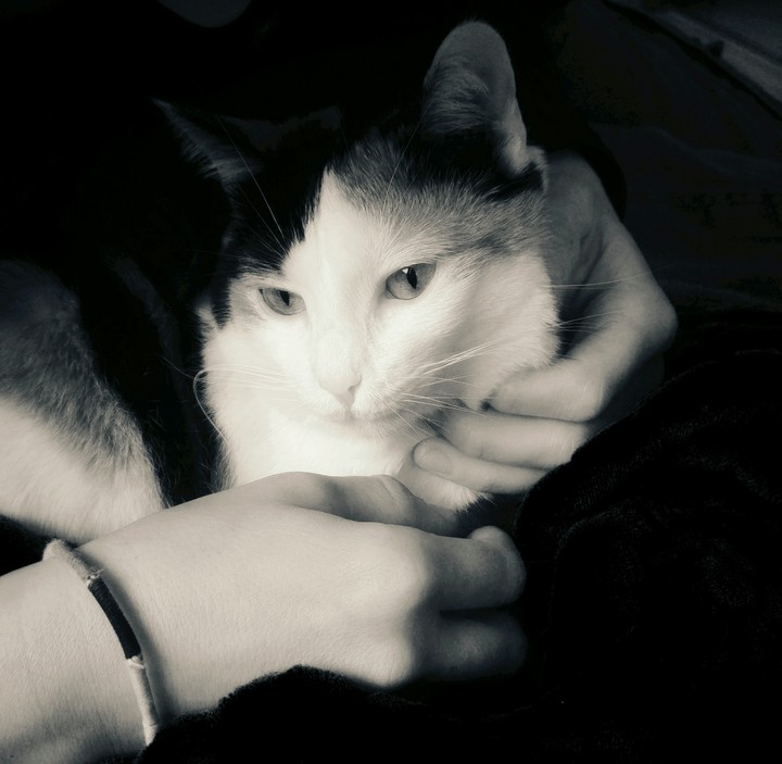 Sally