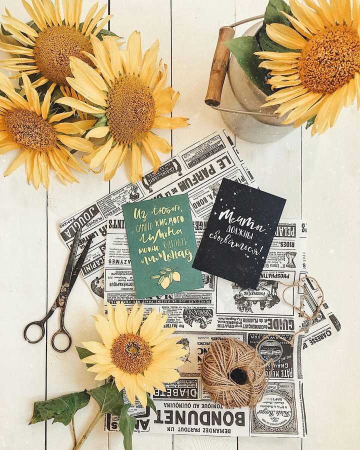 Sunflowers❤