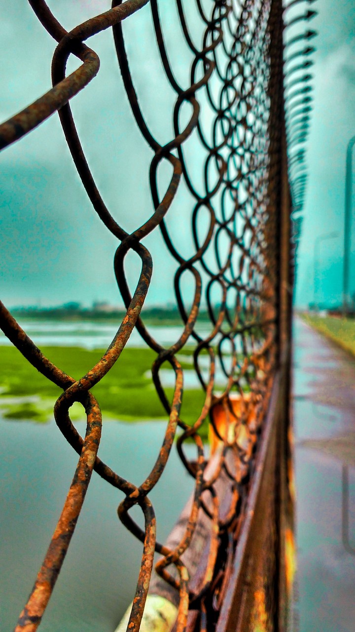 fence