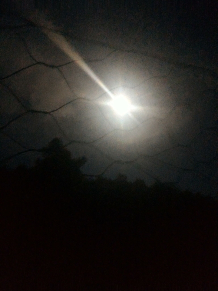 lua
