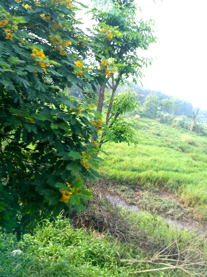 behind 2