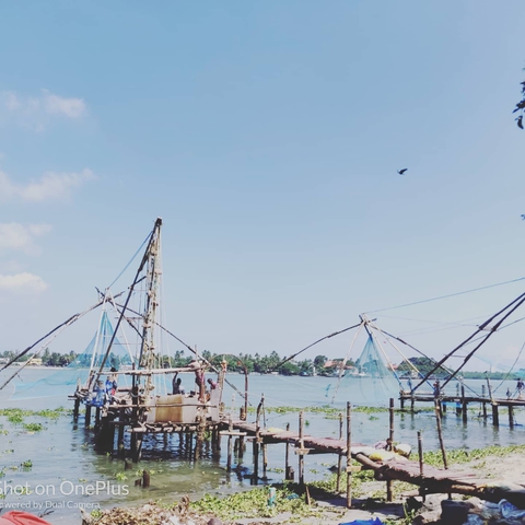 Chinese fishing net