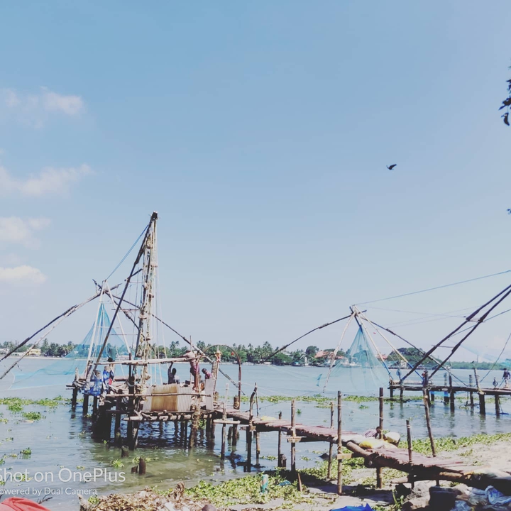 Chinese fishing net