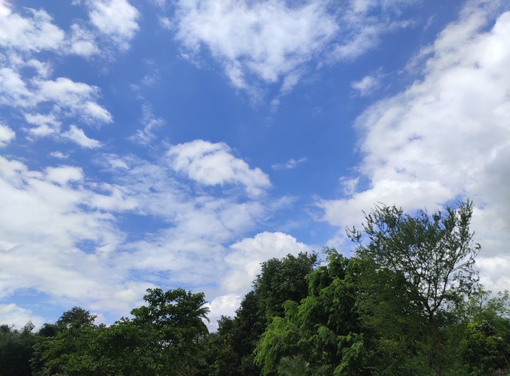 Beautiful & amazing Blue sky #bluesky #blue #nature